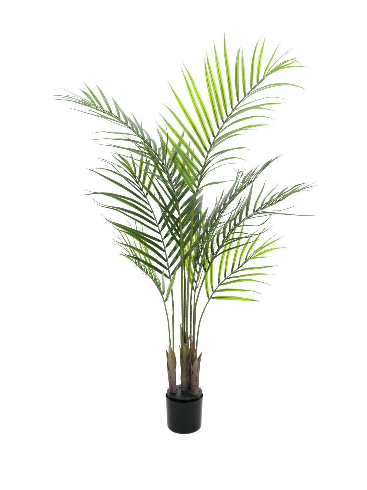 Image of Kunstig Areca-palme med store blade. 125 cm - XL Palms