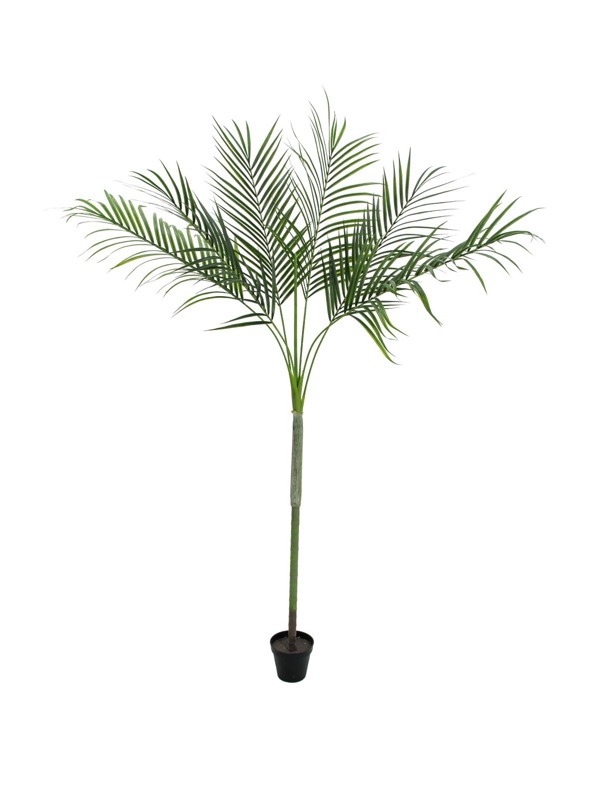 Image of Kunstig Areca-palme med store blade . 180cm - XL Palms