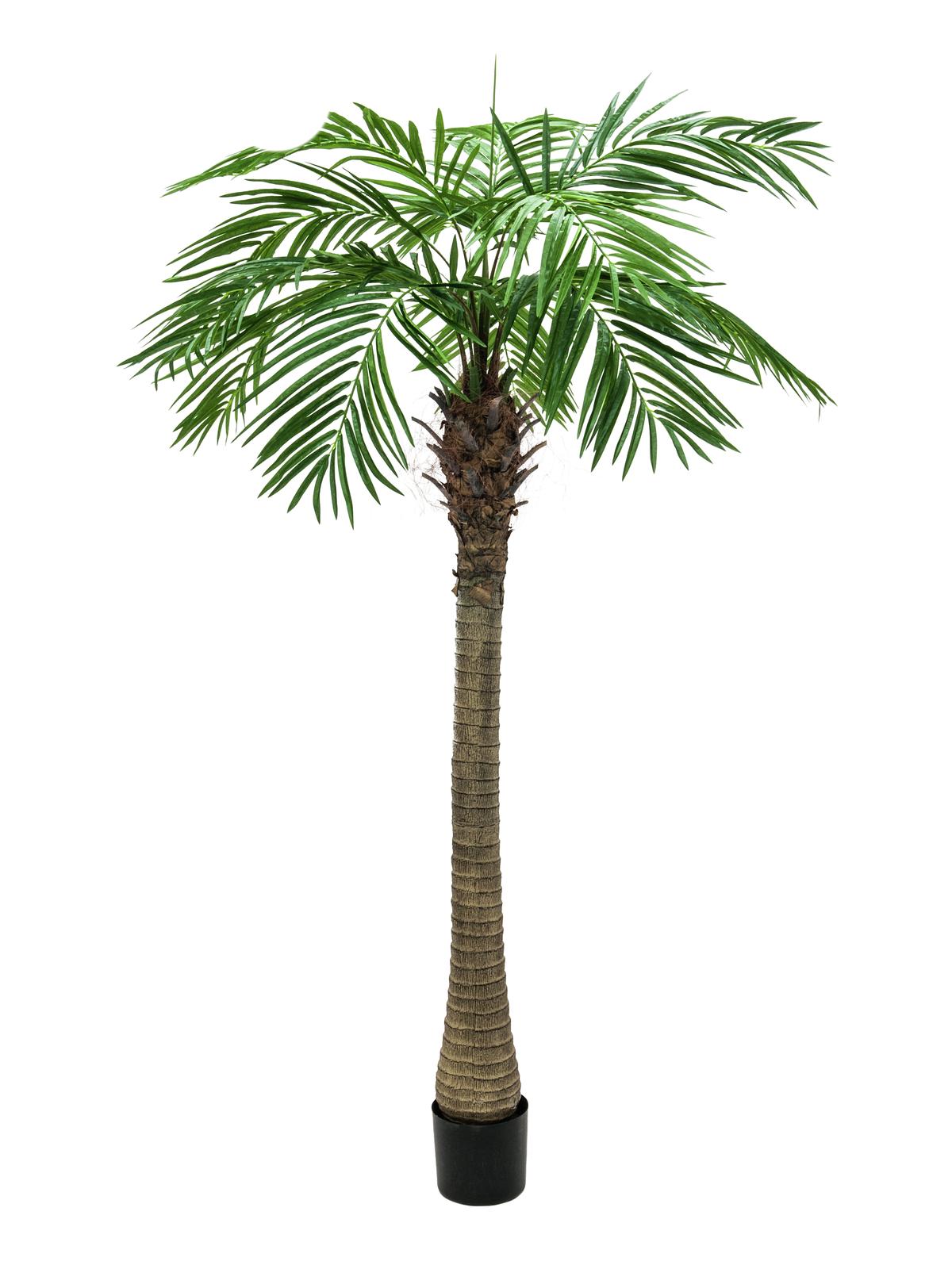 Image of Kunstig Phoenix Palmetræ Luxor. 210cm - XL Palms