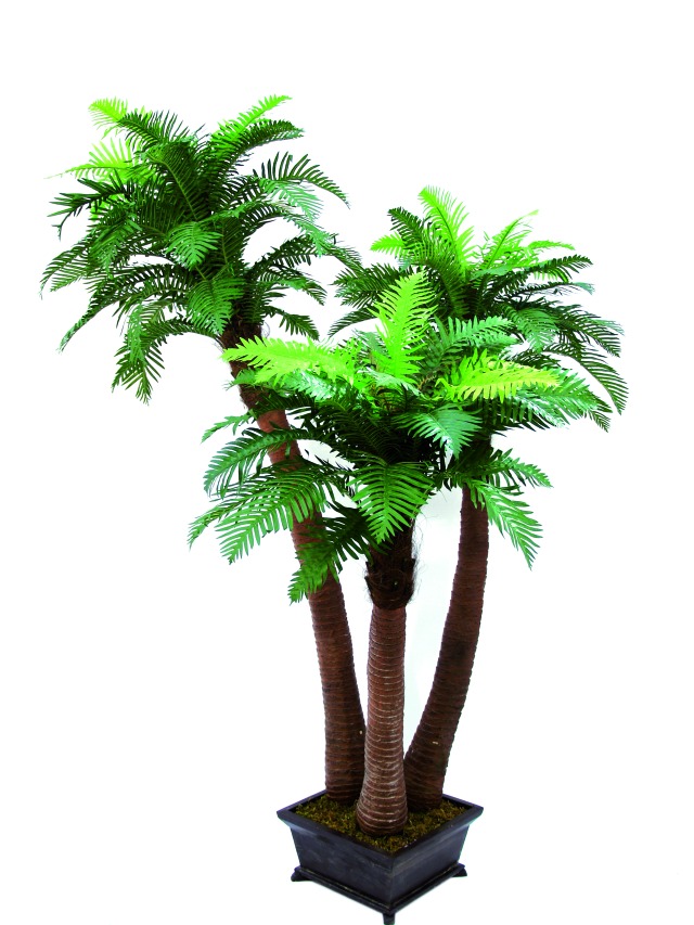 Image of Kunstig Fernpalm. 240cm - XL Palms