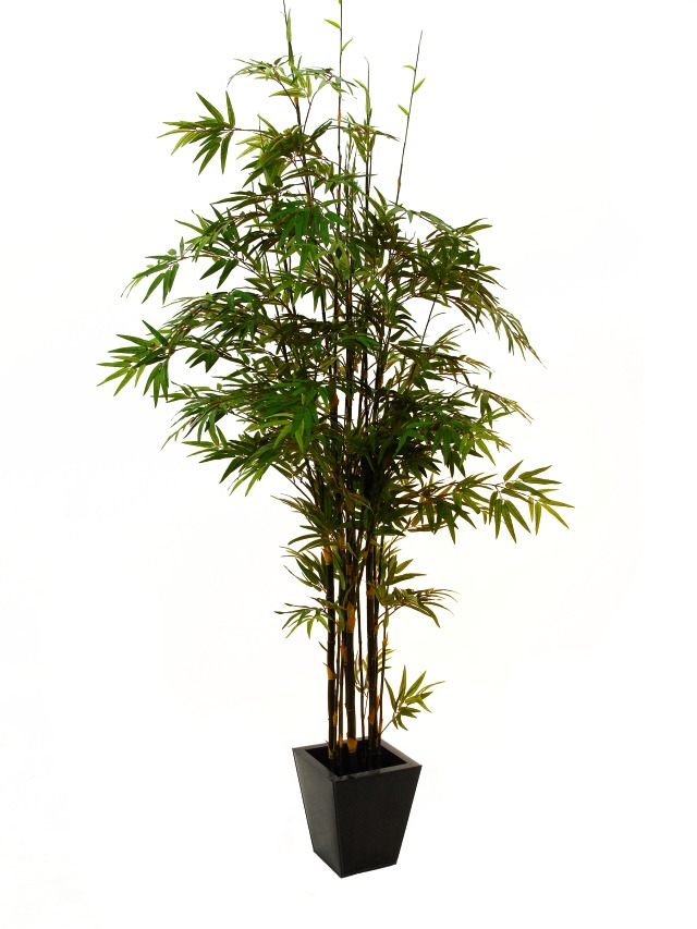 Image of Kunstig Bambus. sort stamme. 240 cm - XL Palms